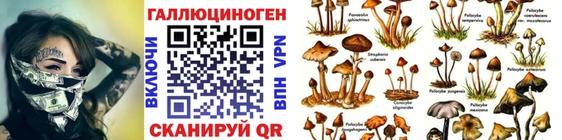 kraken ссылки  Альметьевск  Псилоцибиновые грибы MAGIC MUSHROOMS 